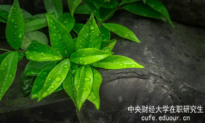 中央財(cái)經(jīng)大學(xué)同等學(xué)力申碩達(dá)到多少分才算通過(guò)考試？