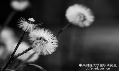 想上中央財經(jīng)大學(xué)在職研究生去哪里報名？