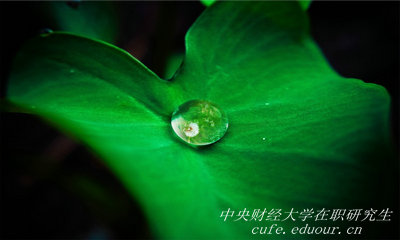 報(bào)考中央財(cái)經(jīng)大學(xué)在職研究生能升職嗎？