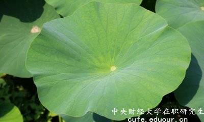 2018年中央財(cái)經(jīng)大學(xué)在職研究生可以獲得雙證嗎？