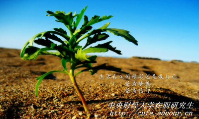 中央財經(jīng)大學(xué)在職研究生同等學(xué)力申碩有哪些優(yōu)勢？